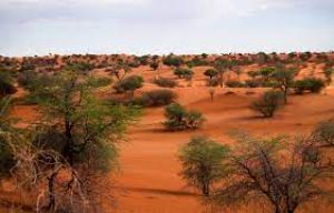 Kalahari Region view